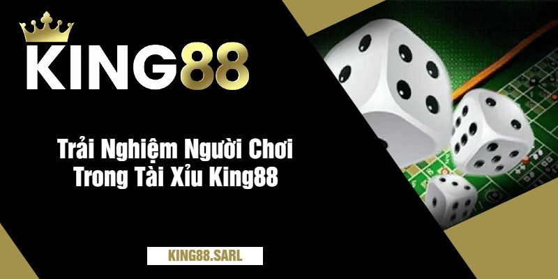 Trải Nghiệm Người Chơi Trong Tài Xỉu King88